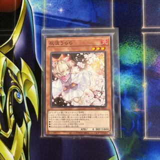 Ash Blossom & Joyous Spring Normal