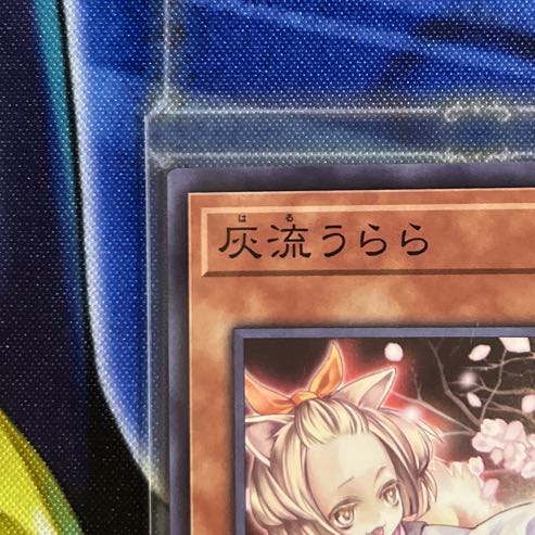 Ash Blossom & Joyous Spring Normal