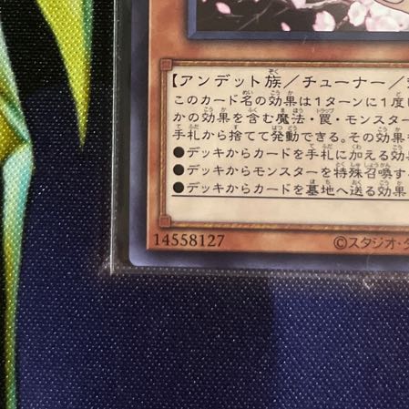 Ash Blossom & Joyous Spring Normal