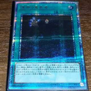 Storm Dragon's Return