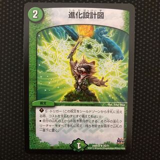 Evolutionary blueprint R 25/71