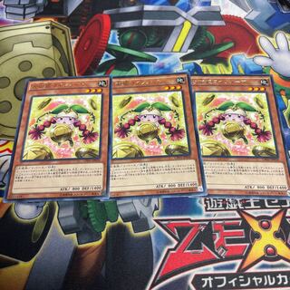 Prediction Princess Coinorma Rare JP030