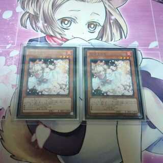 灰流うらら　2枚　はるうらら　レアコレ3　増殖するg