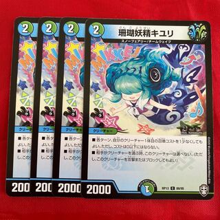 Coral Fairy Kiuri C 89/95