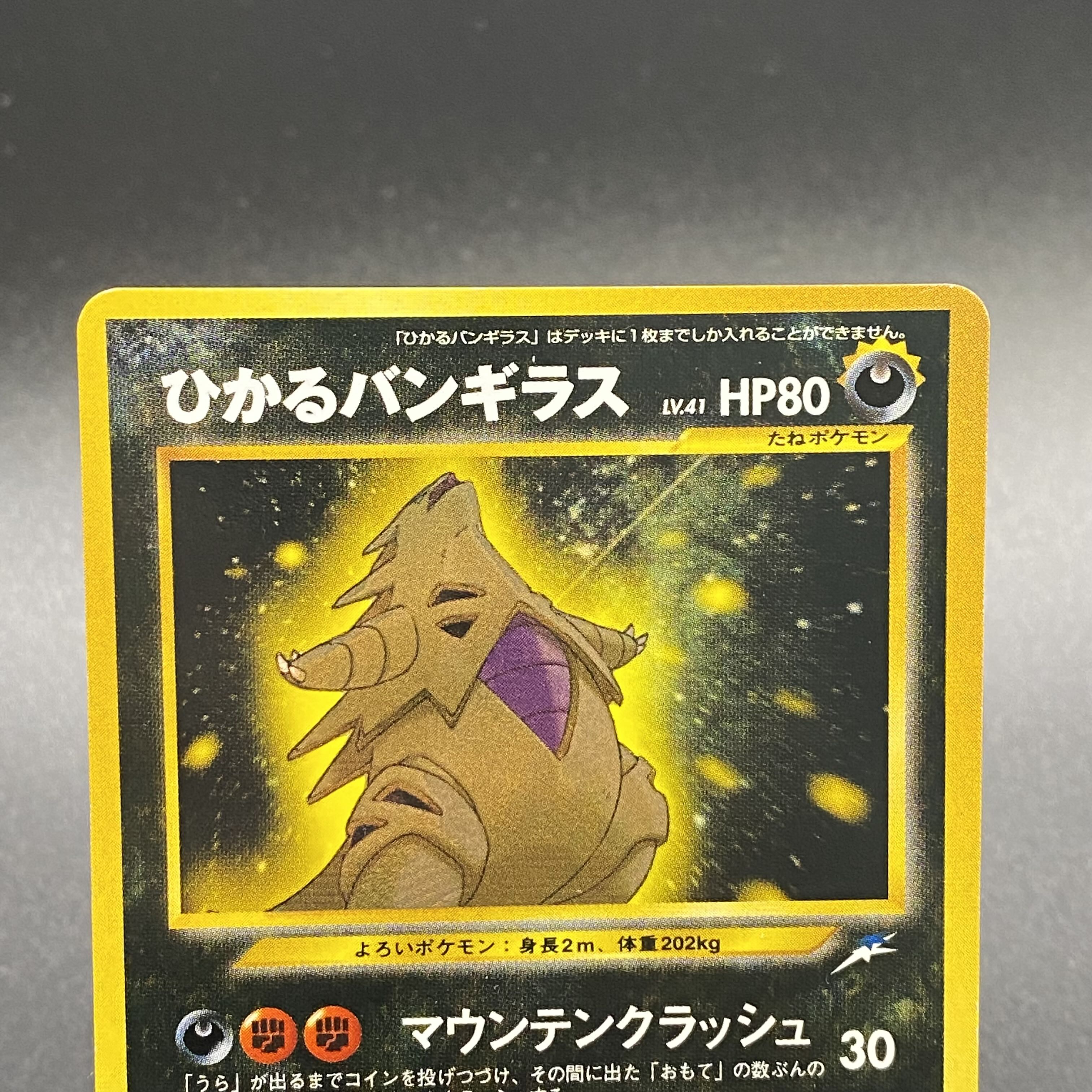 Hikaru Tyranitar No.248 Old back