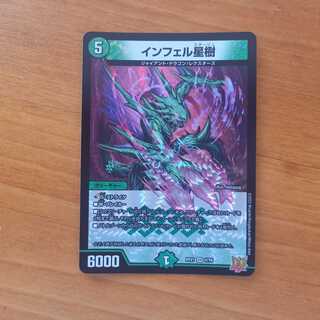 Infelix star tree (species of sedge, Infelix infelix)