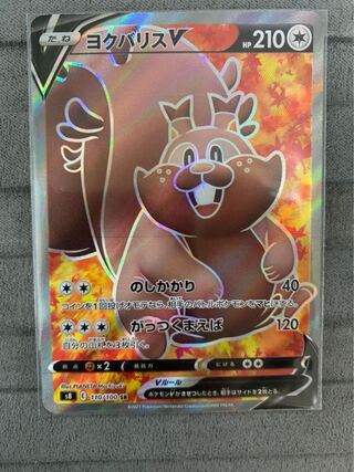 GreedentV SR 110/100②