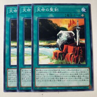 Noble Arms of Destiny