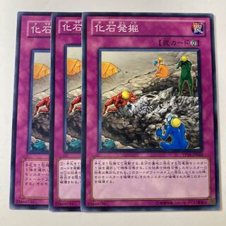 6430 Fossil Excavation ☆8848