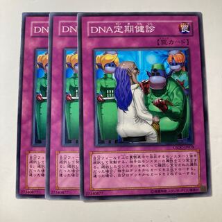 6431 DNA定期健診 ノーマル JP078