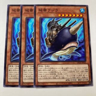 6441 Citadel Whale ☆8862
