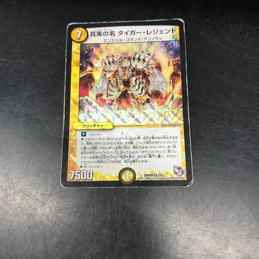 The True Name Tiger Legend VR 2/55