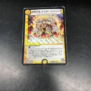 The True Name Tiger Legend VR 2/55