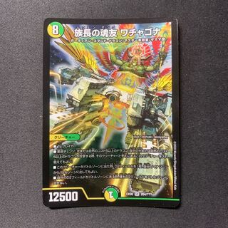 族長の魂友 ワチャゴナ