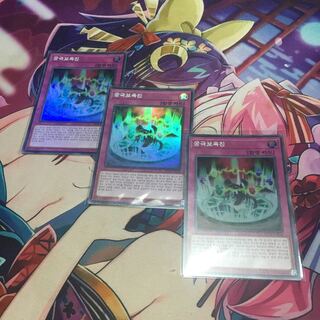 プロフ見てくださいさん購入