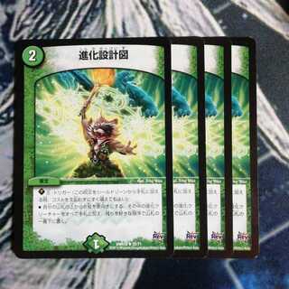 進化設計図　４枚