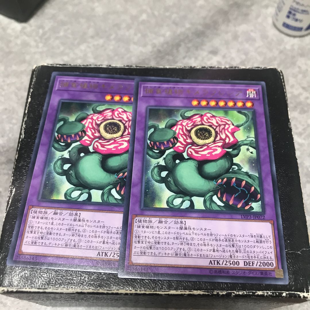 Predaplant Chimerafflesia 2 rare