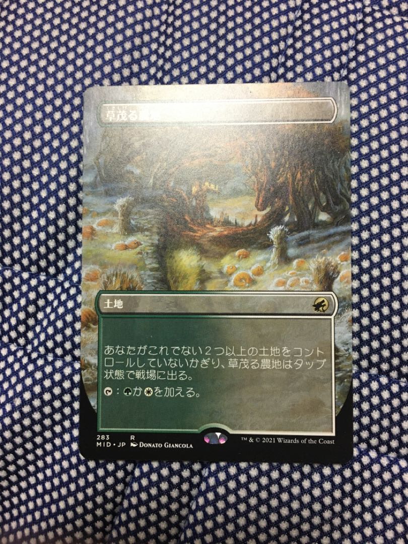 Overgrown Farmland Rare 283/277