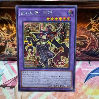 No.838 P-ya Ebisu no ninja - 冥禪 [Sikku