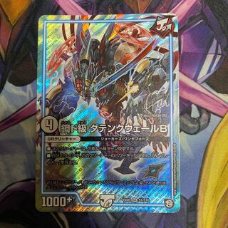 Metaldo Class Datenkweer B SR S1/S10