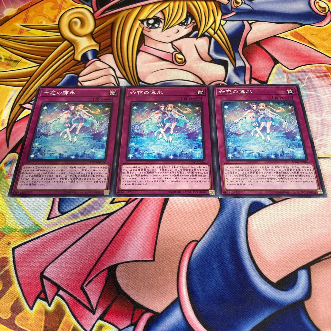 Rikka Sheet Normal JP026