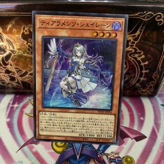 No.839 P屋　ティアラメンツ・シェイレーン 【スー】