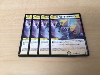 Triguard Charger R 13/95