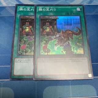 隣の芝刈り スーパーレア