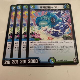 Coral Fairy Kiuri C 89/95