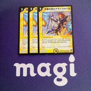 天雷の導士アヴァラルド公