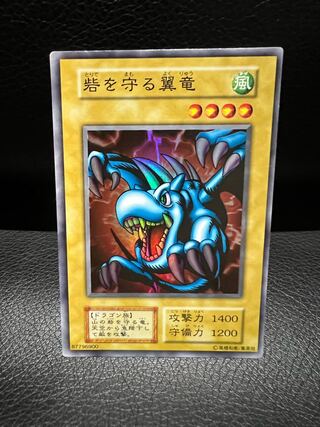 砦を守る翼竜 初期スーパー