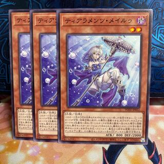 No.883 P shop Tiaraments Rosa Lu [no