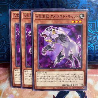 No.891 P屋　A宝玉獣 アメジスト・キャット 【ノー】