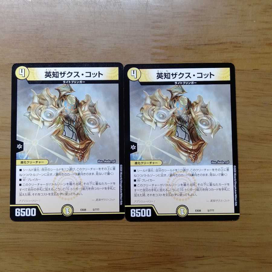 英知ザクスコット 2枚セット