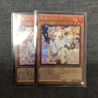 灰流うらら シク 2枚 レアコレ