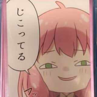 【募集】アーニャスリーブ