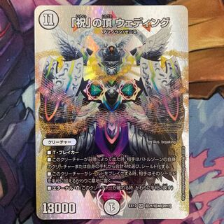 The "Celebration" Summit Wedding