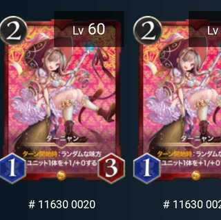 ターニャン　2枚セット