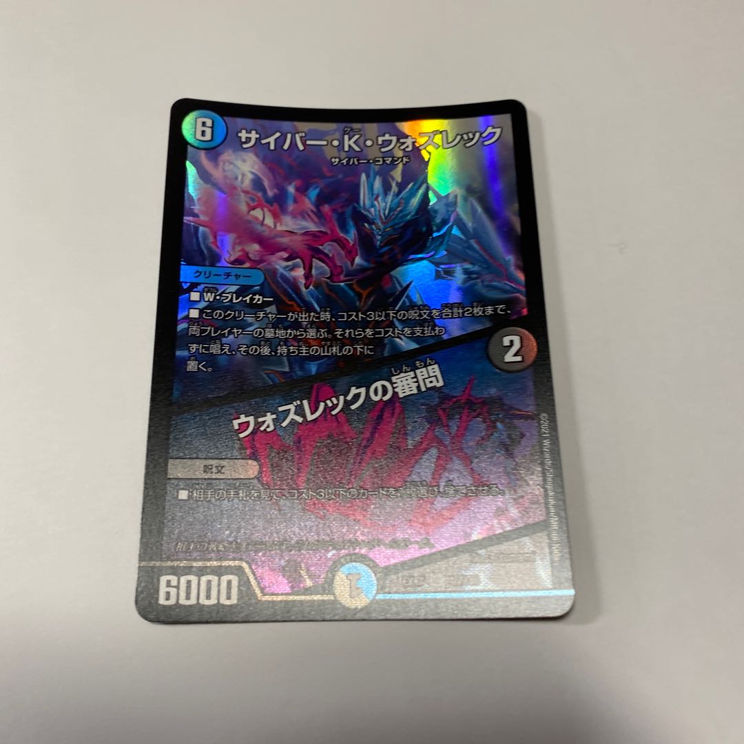 Cyber K. Wozrek｜The Wozrek Inquiry VR 46/138