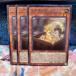 No.902 P shop, cargo of the Kuukagidan, Lex [Rare].