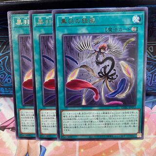 No.904 P Shop Black Feather Whirlwind [Rare