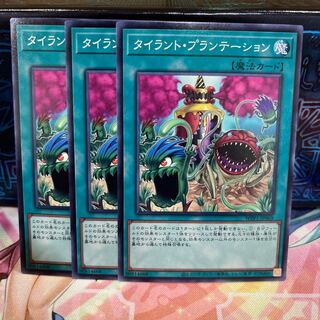 No.923 P屋 Tyrant Farm [no