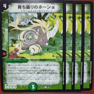 Poly's exclusive oug1104 set discount Growing horn alpha C 68/75