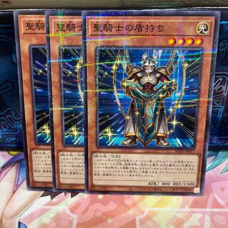 No.929 P屋 Noble Knight's Shield-Bearer [no