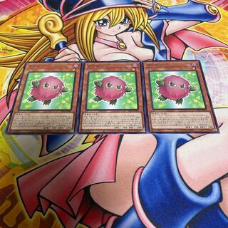 Kuribee Normal JP002