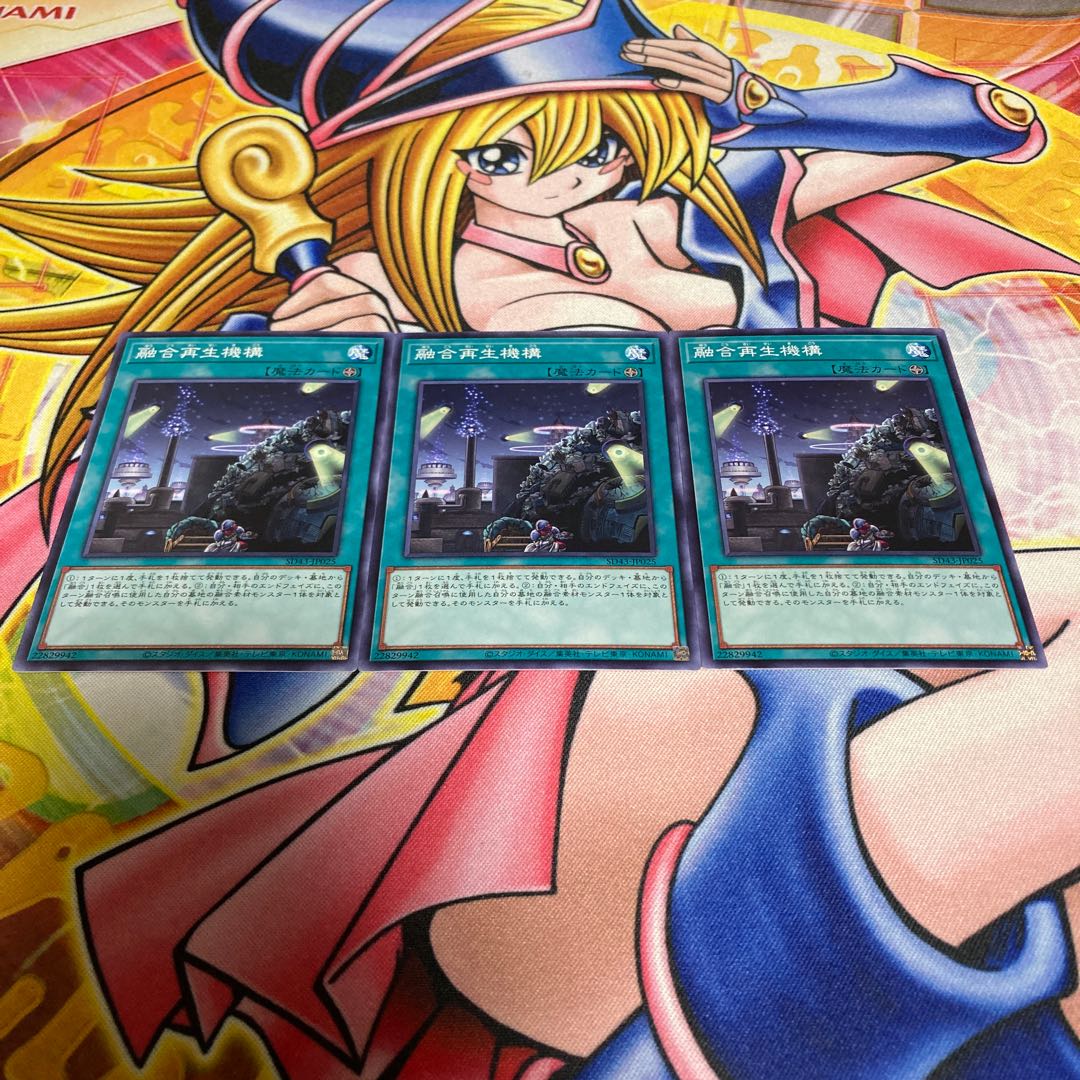 Fusion Recycling Plant