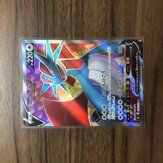 SalamenceV SR 108/100