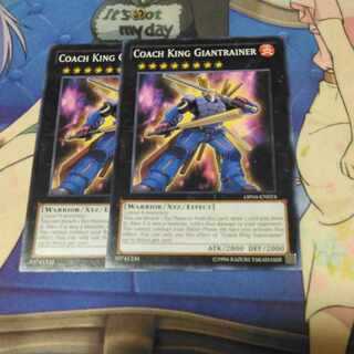 Coach King Giantrainer English edition