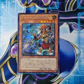 Warrior Chief of the Amazones Secret Rare