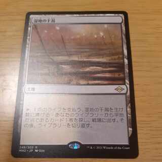 湿地の干潟 レア 248/303